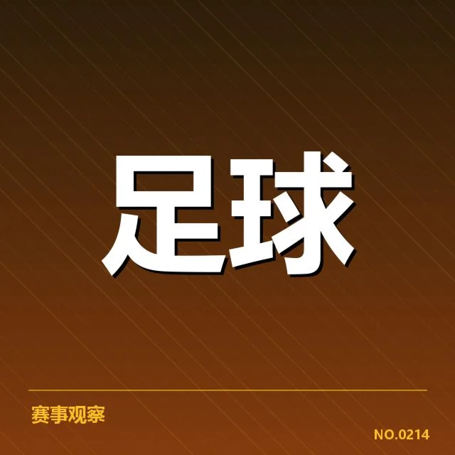 财政数据与转会市场的实证情况